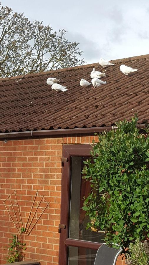 The White Dove Bed And Breakfast With Glamping Newark Showground Extérieur photo